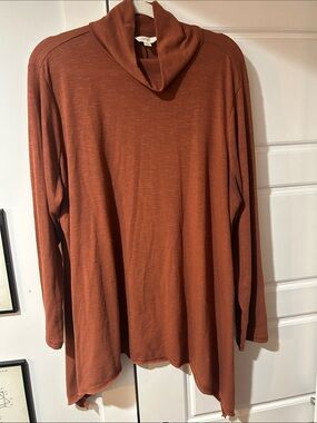Terra & Sky Rust Brown Cowl Neck Tunic